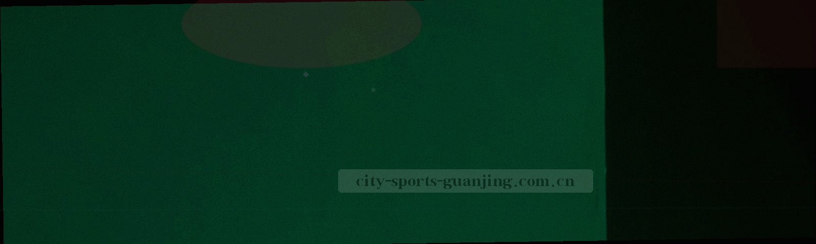 夜间球场看台上观众举着手机查看赛场信息的剪影，远处灯带化成虚化光斑